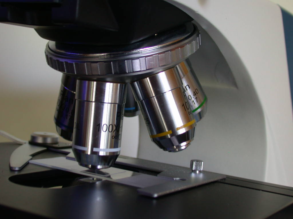 Con l''aiuto del microscopio... QUIZ